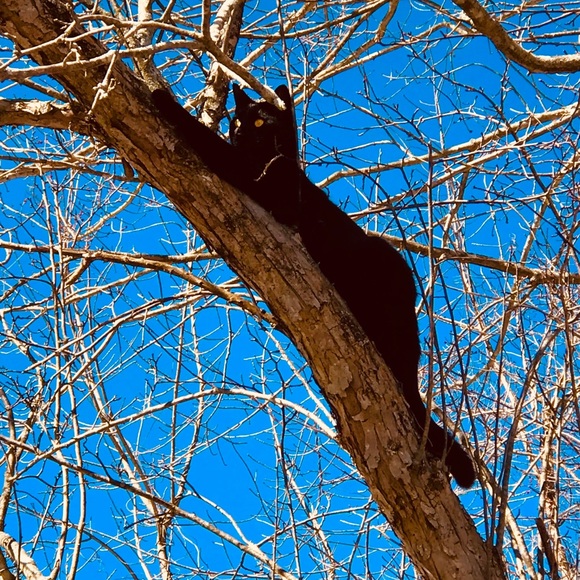 Meet your Posher, Melissa - Picture 4 of 5